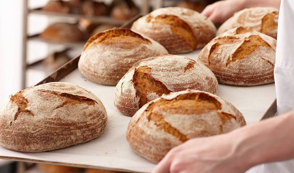 Cuáles son los tipos de panaderías más comunes